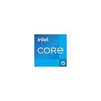 Intel Core i5 13500 / 2.5 GHz processor - OEM